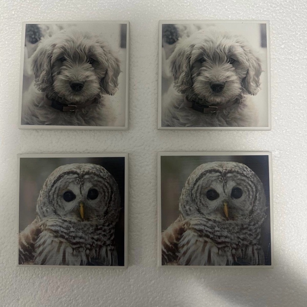 Set of four coasters featuring images of a barred owl and a goldendoodle puppy
